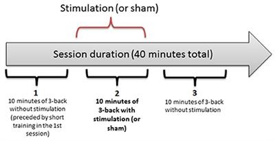 No Effects of Stimulating the Left Ventrolateral Prefrontal Cortex with tDCS on Verbal Working Memory Updating